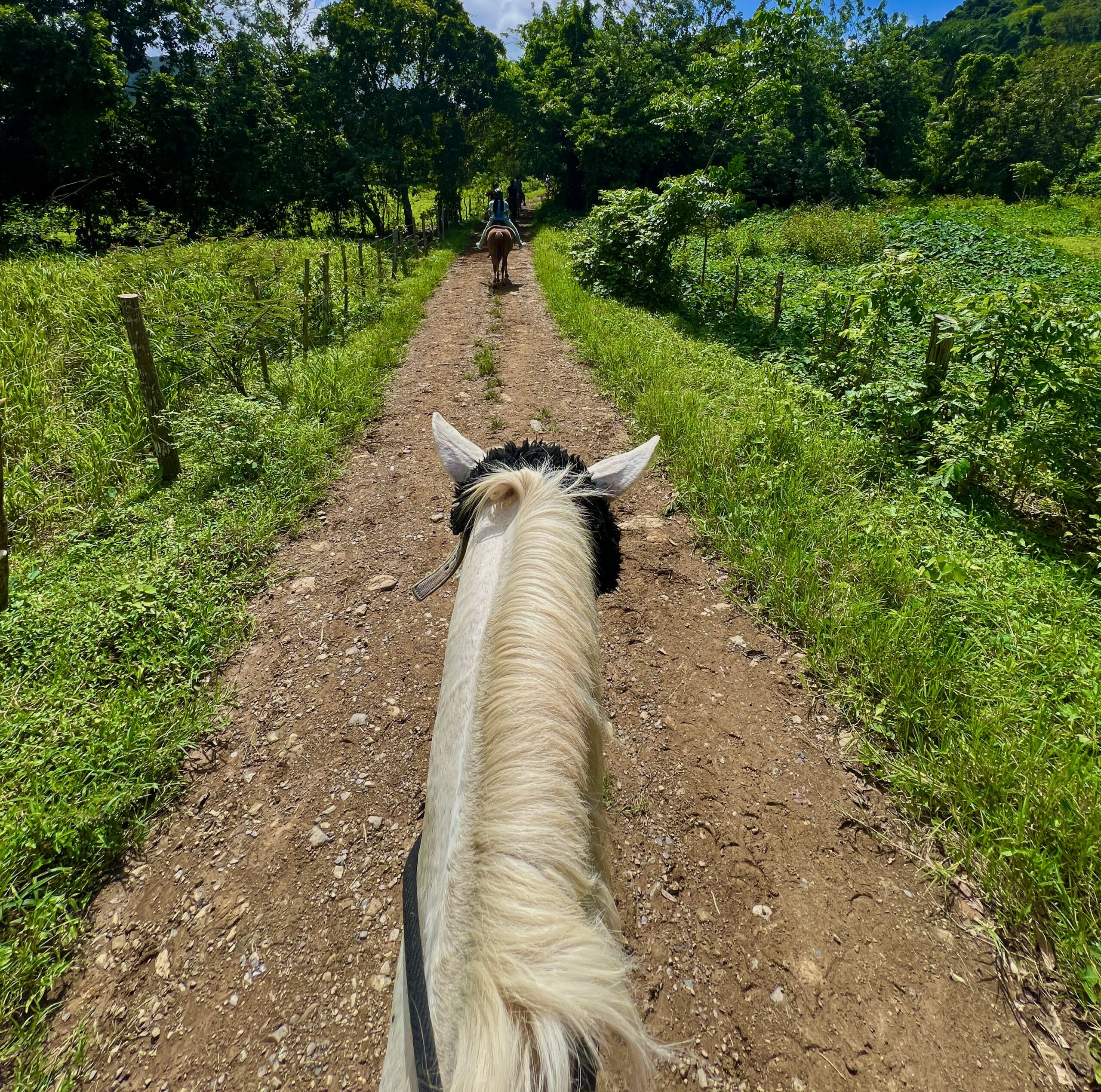 Horseback riding in Puerto Rico