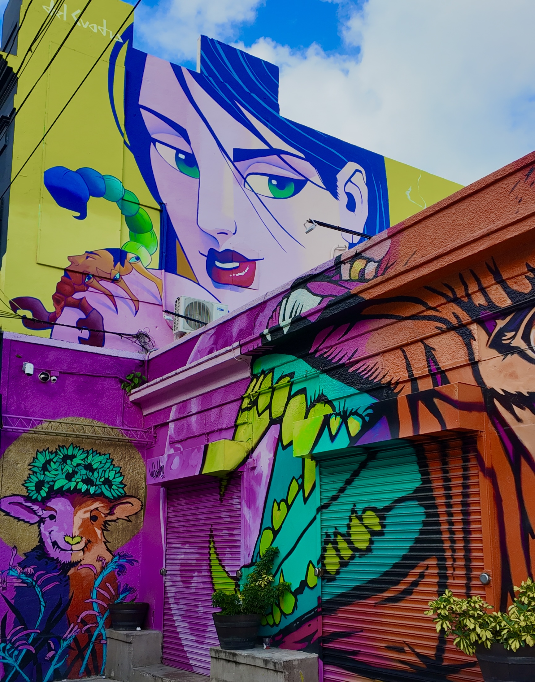 Puerto Rico Street Art 
