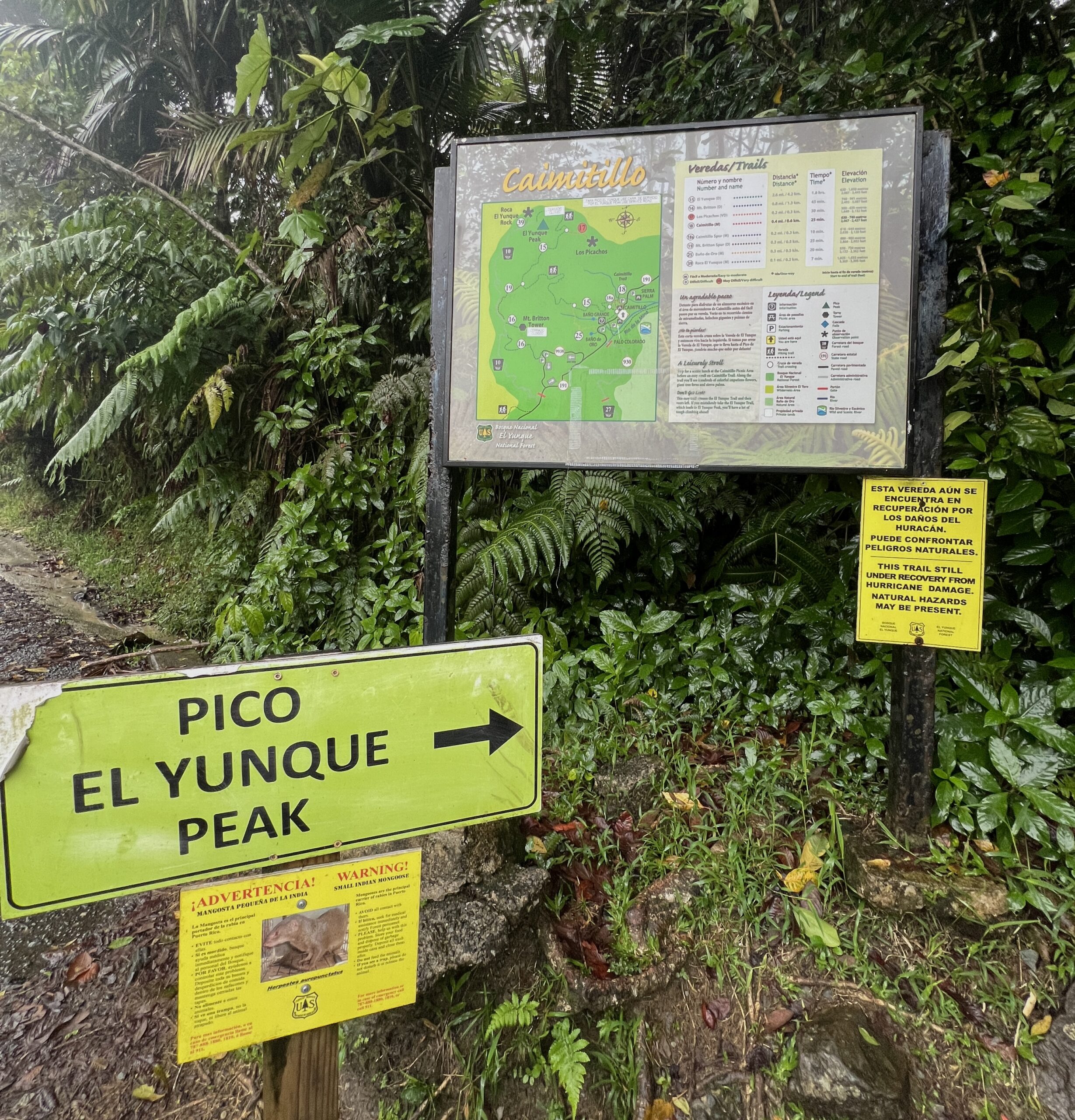 El Yunque Hiking Trail 