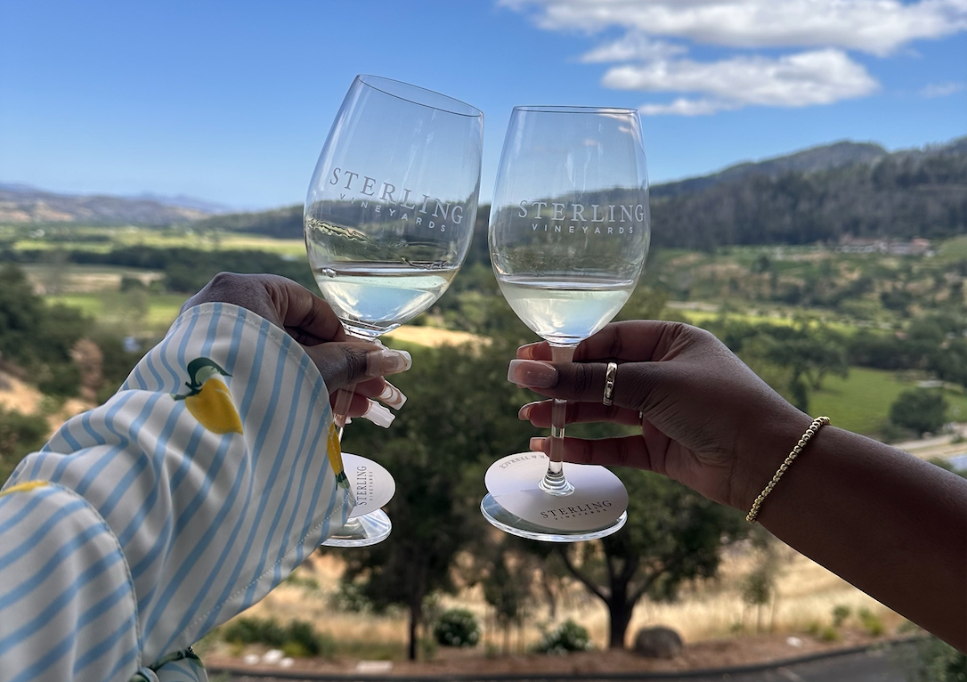 Cheers in Napa Valley 