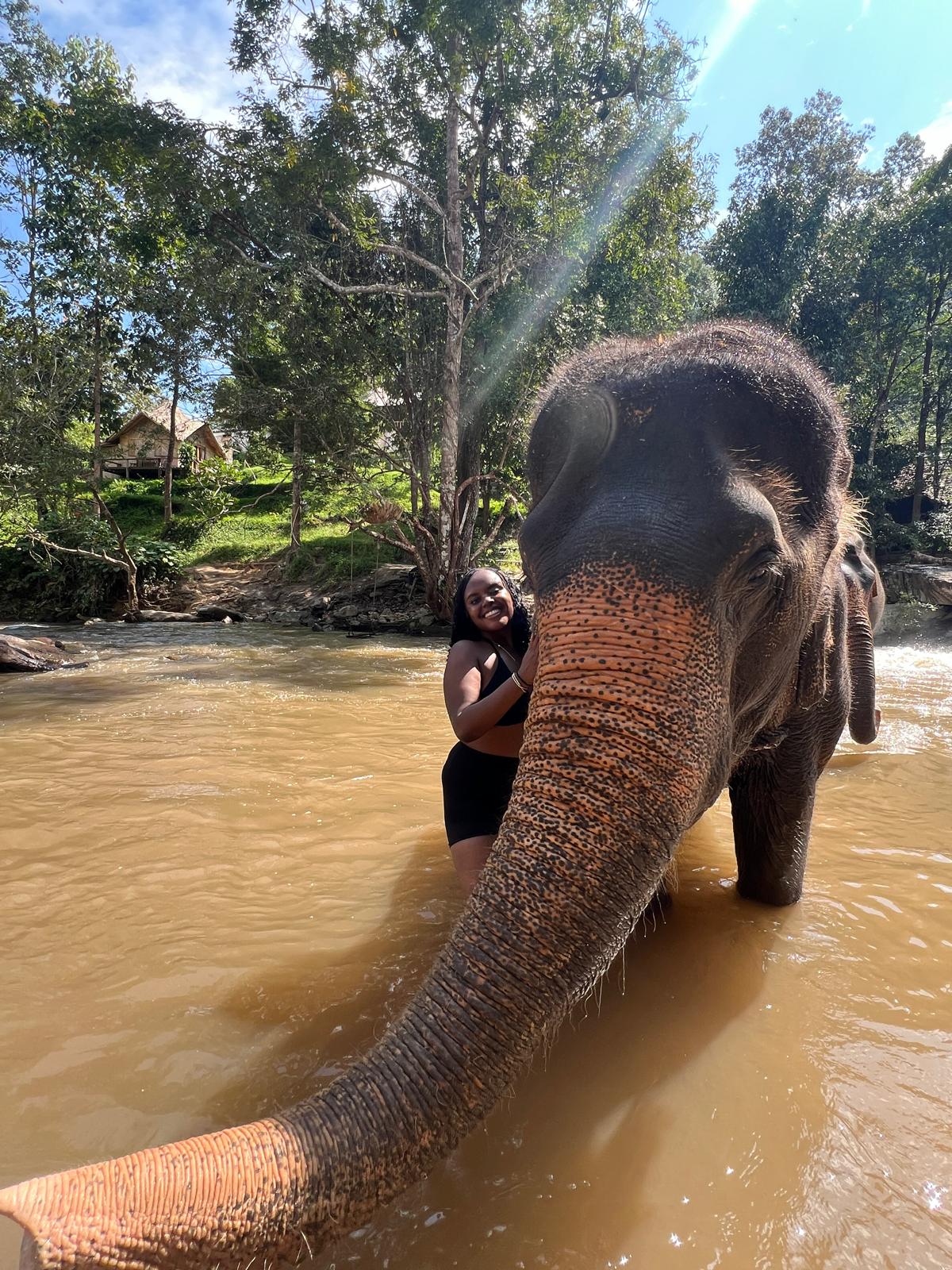 Swimming with elephants 