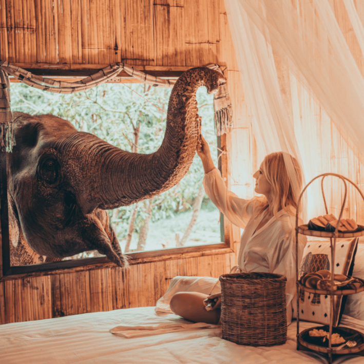 Elephant Bungalow Stay Chiang Mai 