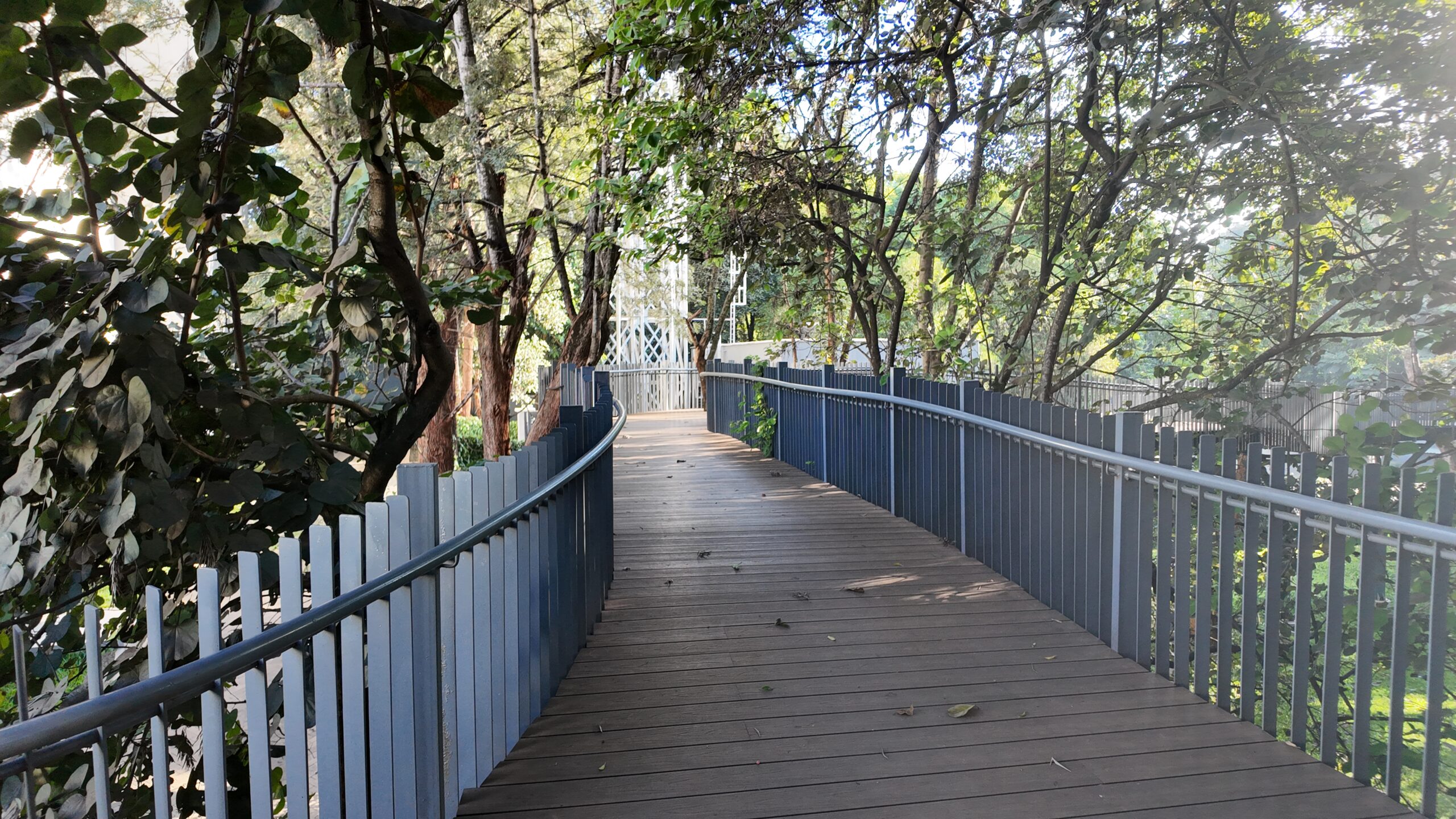 Kenya Skywalk 